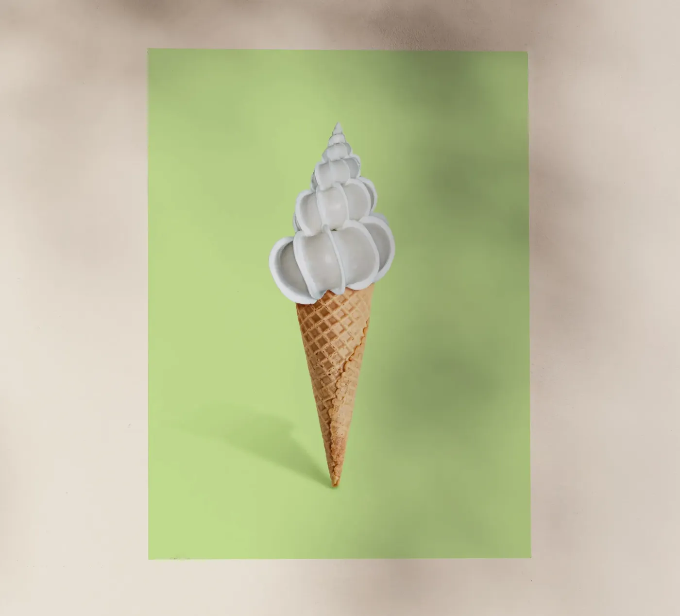 Crema di conchiglie pellicola backlit da 360brain