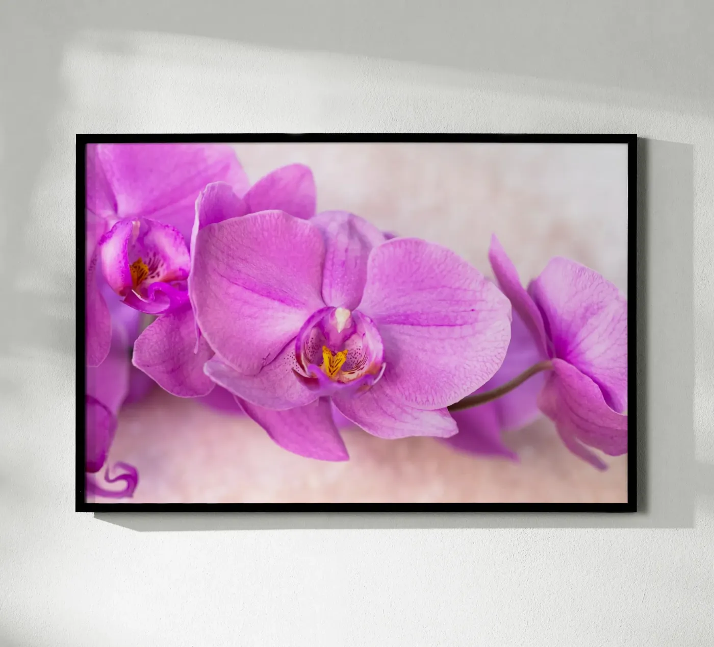 Orchidee Poster von Neuhaus-Petrosino