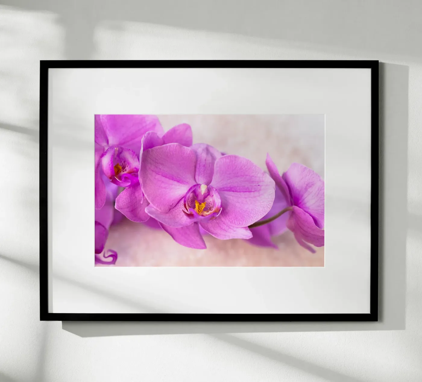 Orchidee Poster von Neuhaus-Petrosino