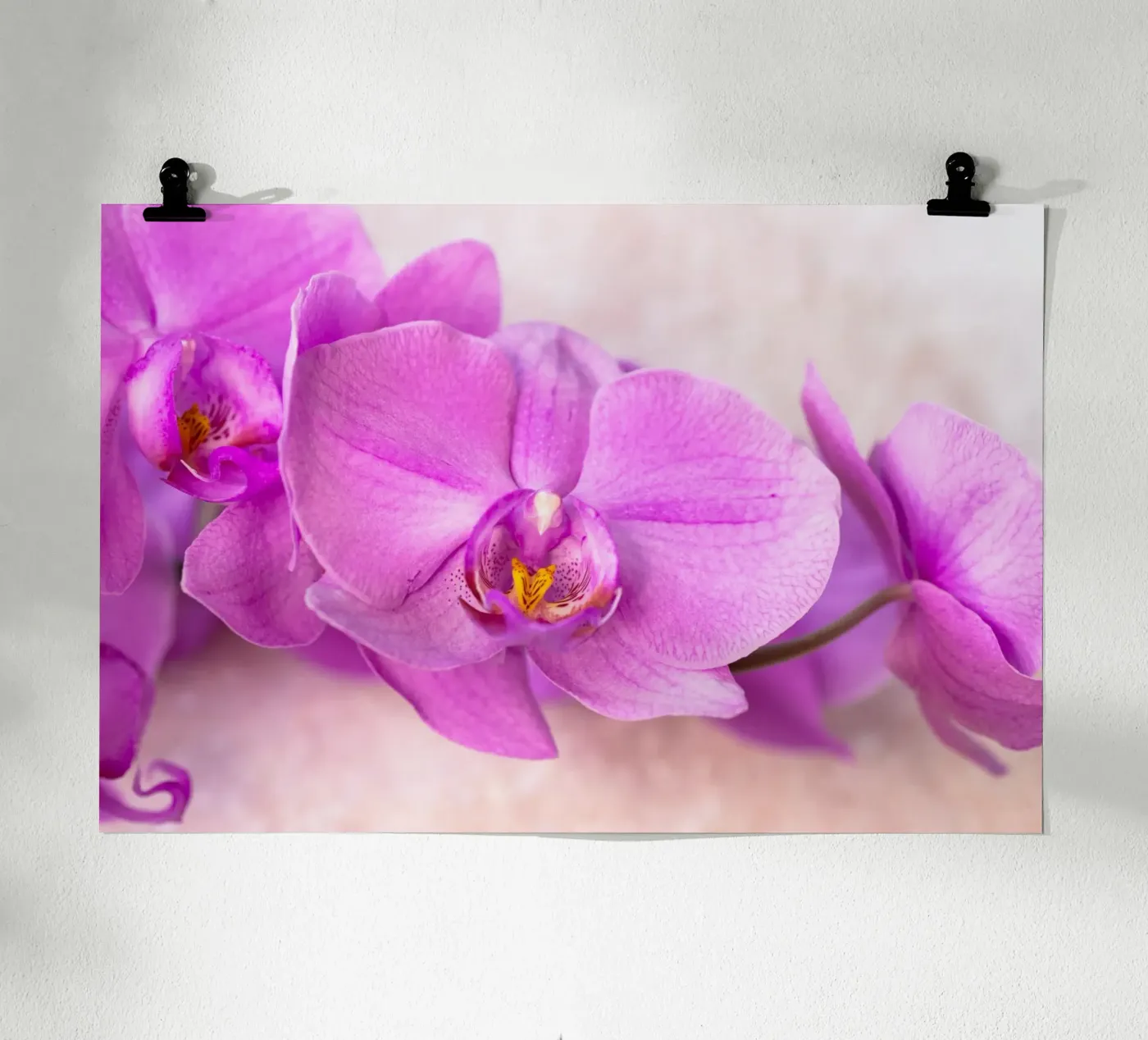 Orchidee Poster von Neuhaus-Petrosino