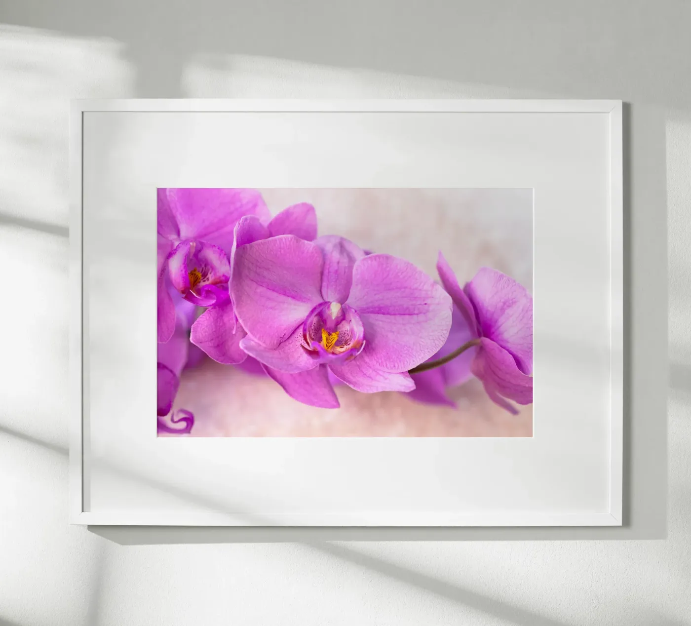 Orchidee Poster von Neuhaus-Petrosino