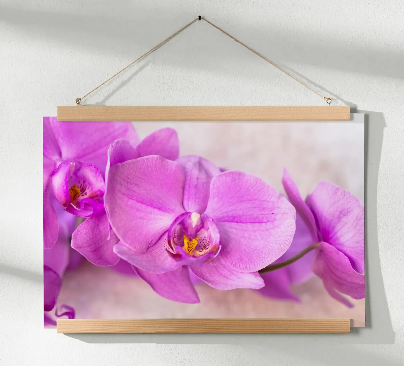 Orchidee Poster von Neuhaus-Petrosino