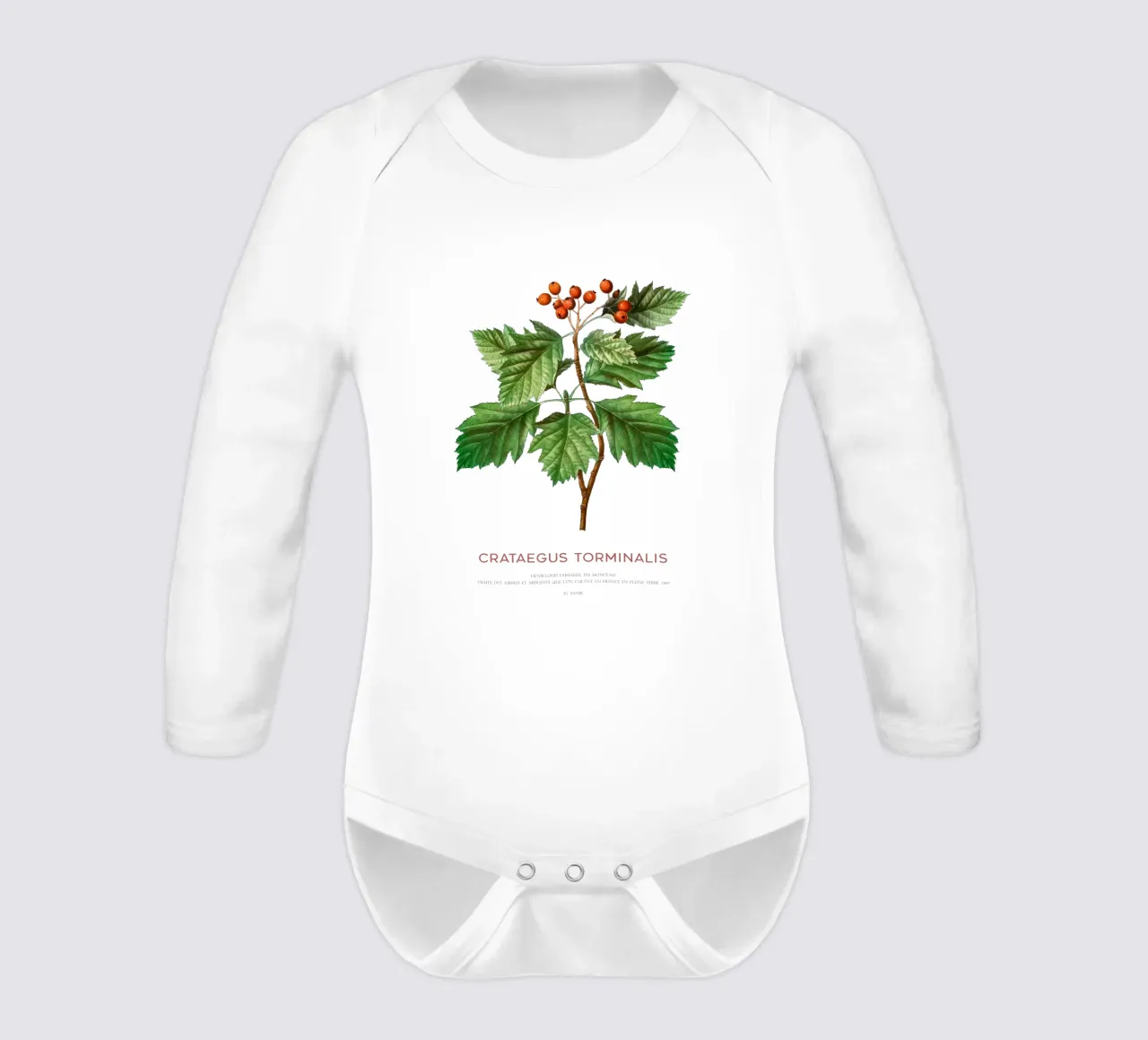 Wild service tree or Crataegus Torminalis long-sleeve baby romper by Vintagrafica