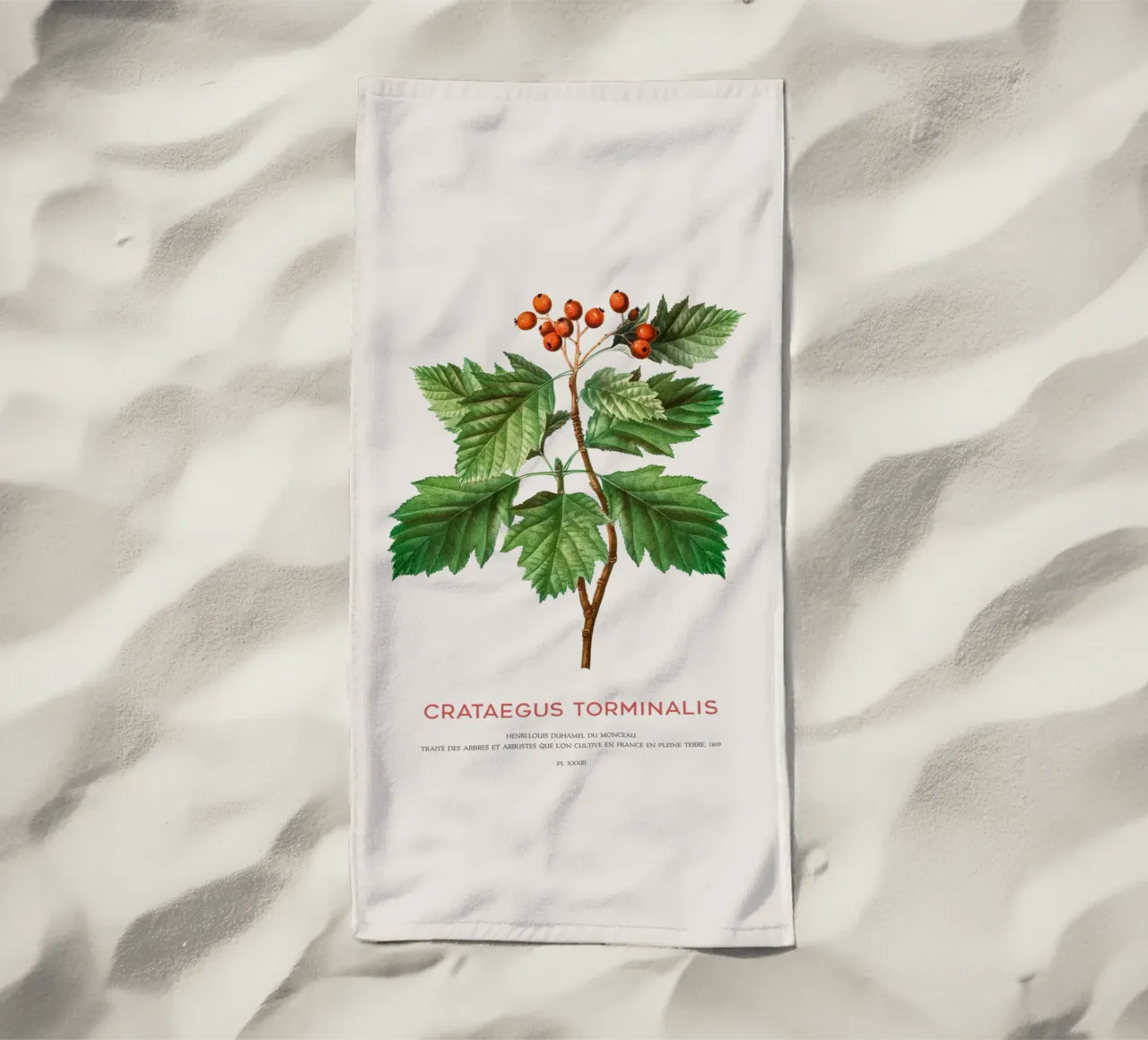 Wild service tree or Crataegus Torminalis beach towel by Vintagrafica