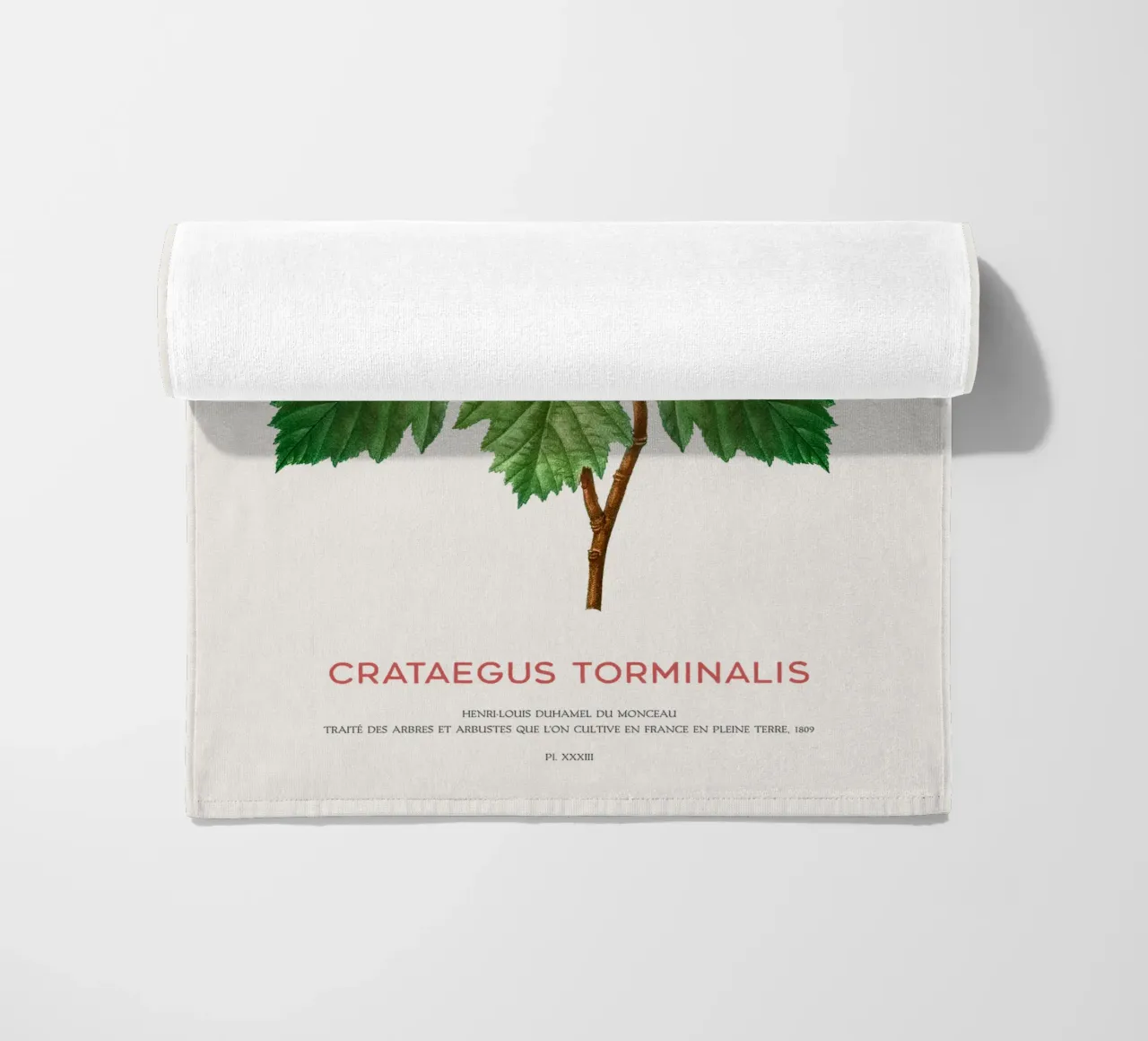 Wild service tree or Crataegus Torminalis beach towel by Vintagrafica