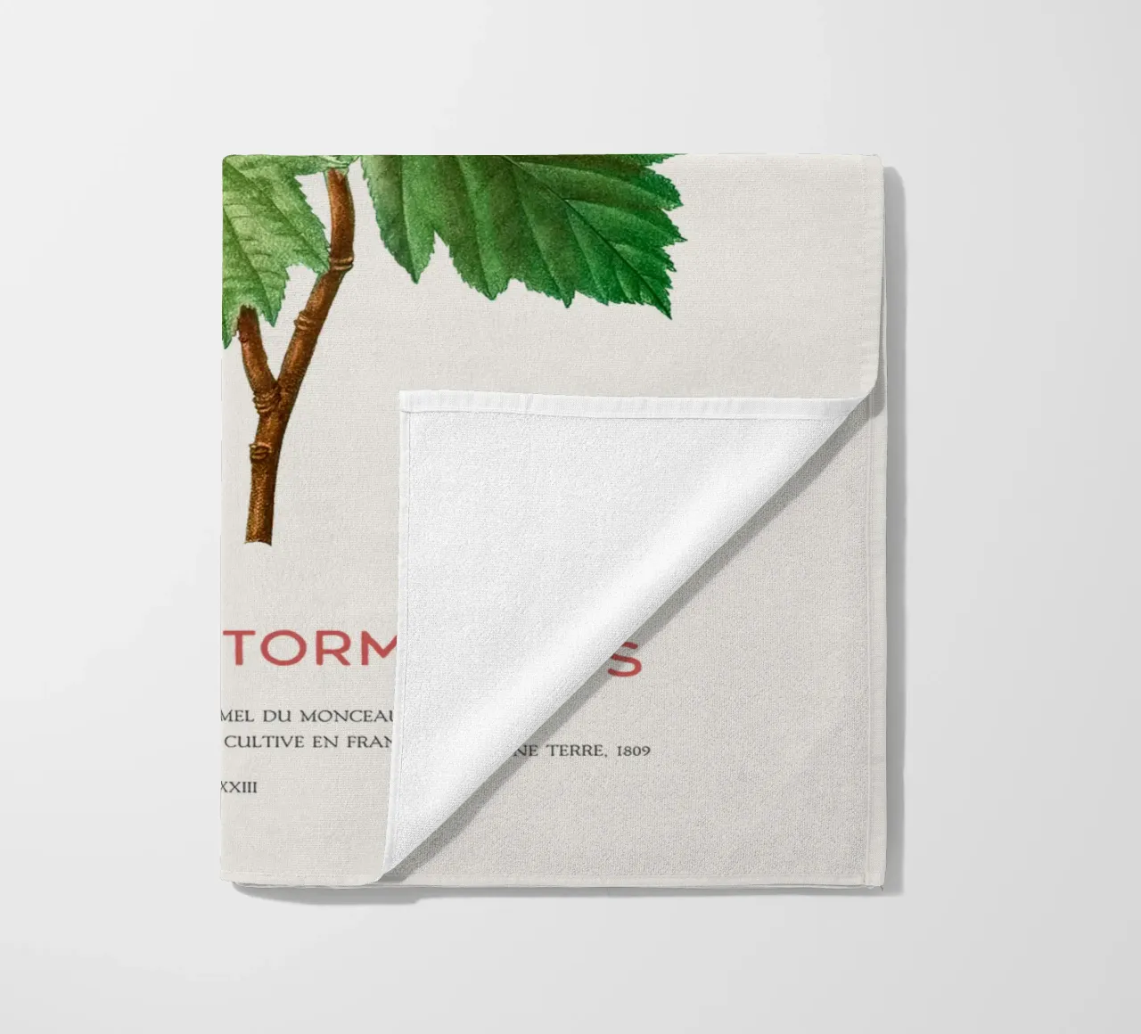 Wild service tree or Crataegus Torminalis beach towel by Vintagrafica