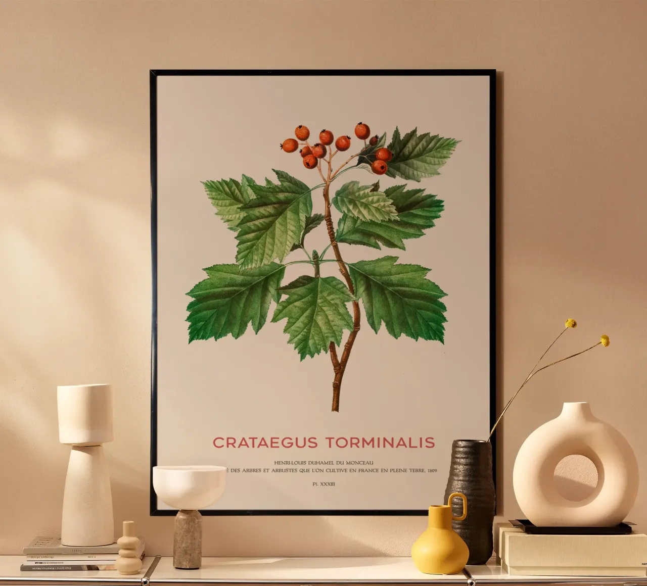 Albero dei servizi selvatici o Crataegus Torminalis poster da Vintagrafica