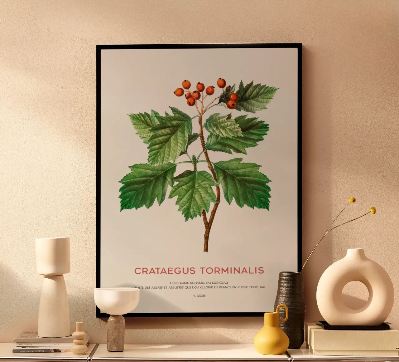 Albero dei servizi selvatici o Crataegus Torminalis poster da Vintagrafica