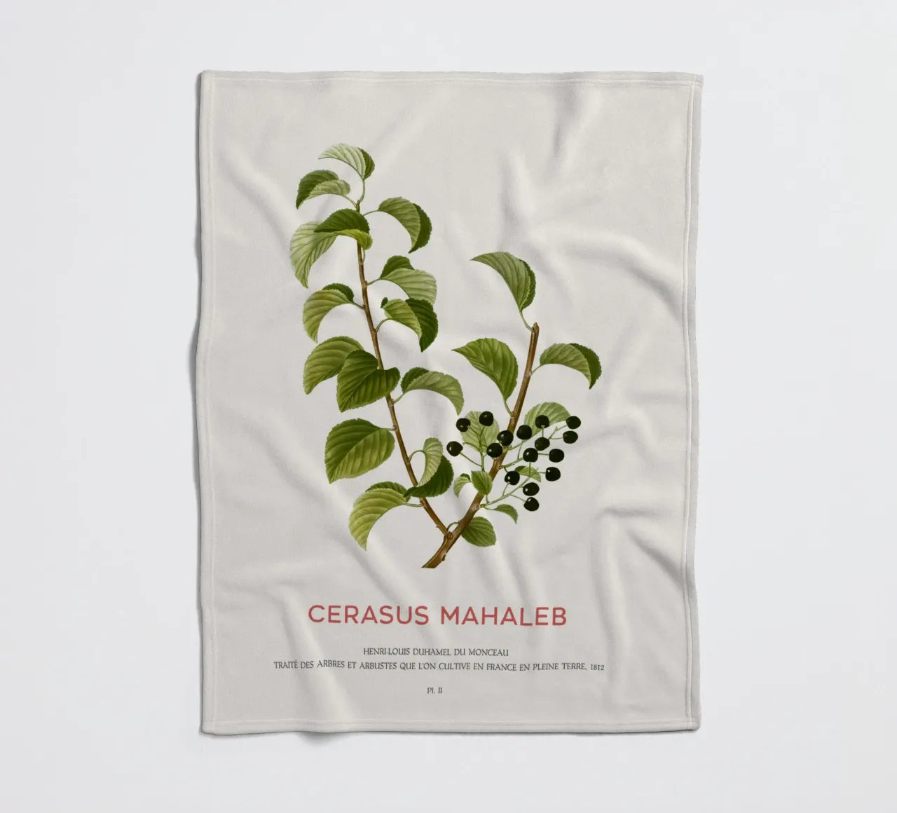St. Lucie-Kirsche oder Cerasus Mahaleb Fleecedecke von Vintagrafica