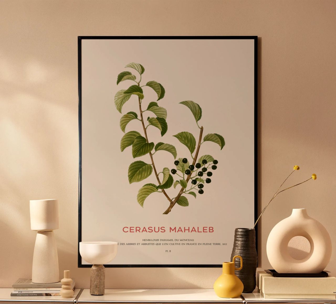 St. Lucie-Kirsche oder Cerasus Mahaleb Poster von Vintagrafica
