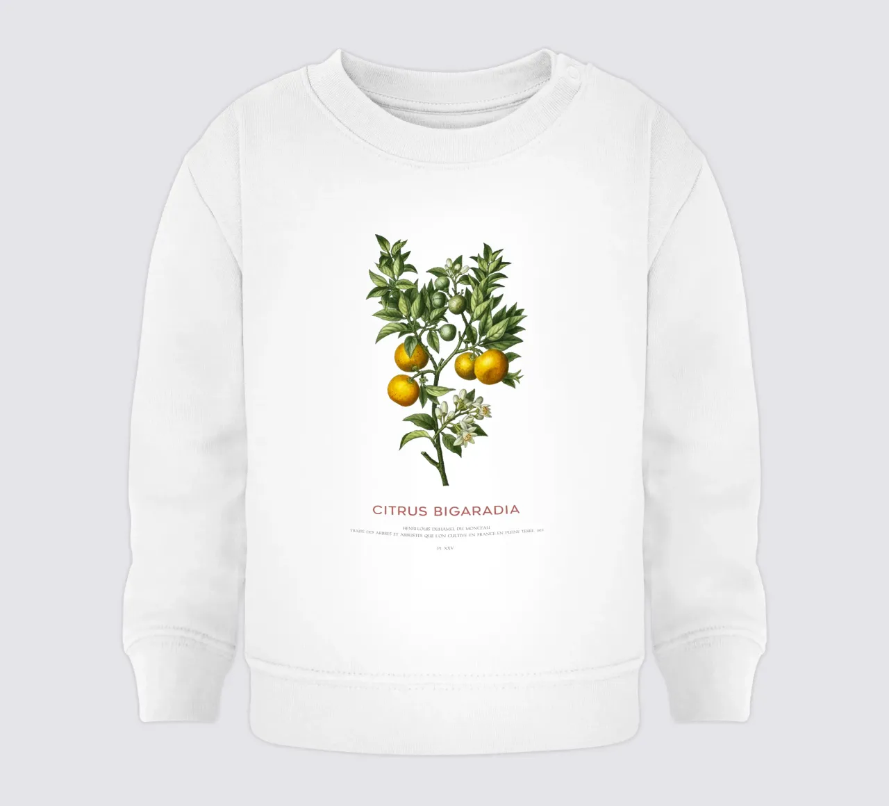 Arancio amaro o Citrus Bigarradia felpa neonato da Vintagrafica