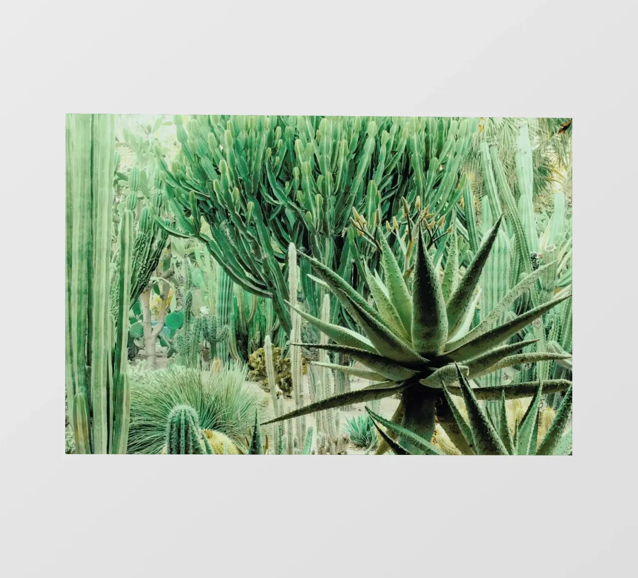 Marrakesh Paradise 9 telo in pvc da Paul Aidan Perry