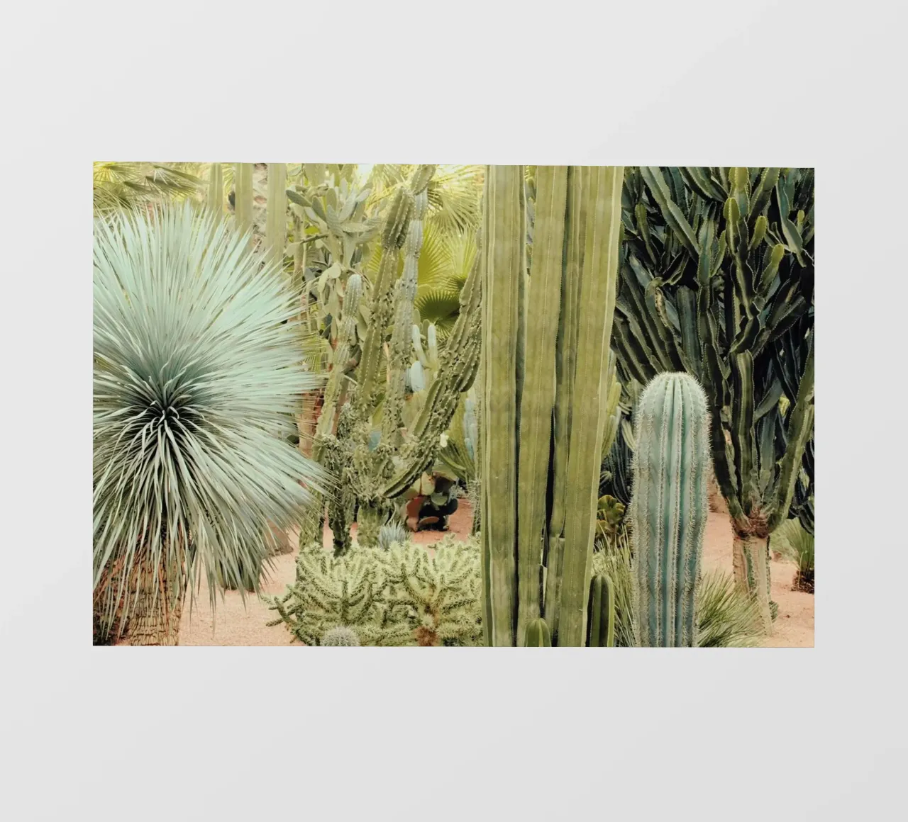 Marrakesh Paradise 11 telo in pvc da Paul Aidan Perry
