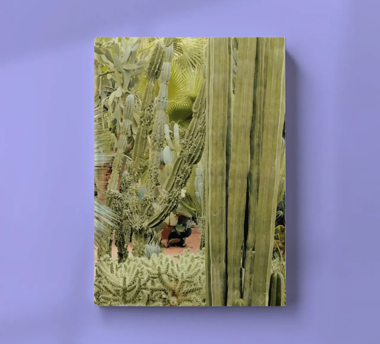 Marrakesh Paradise 11 notebook by Paul Aidan Perry