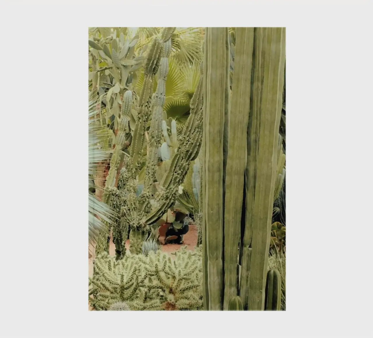 Marrakesh Paradise 11 notebook by Paul Aidan Perry