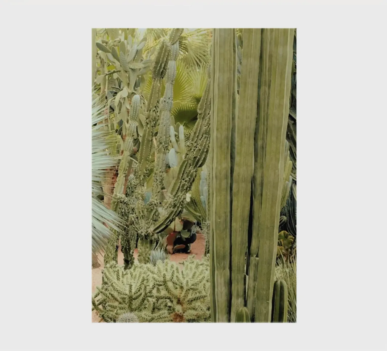 Marrakesh Paradise 11 notebook by Paul Aidan Perry