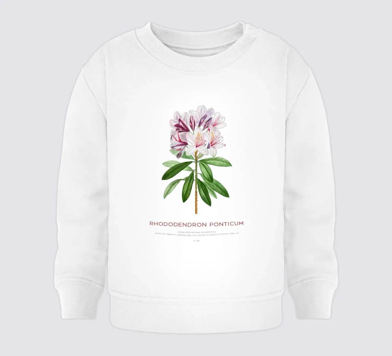 Rododendro pontico o Rhododendron Ponticum felpa neonato da Vintagrafica