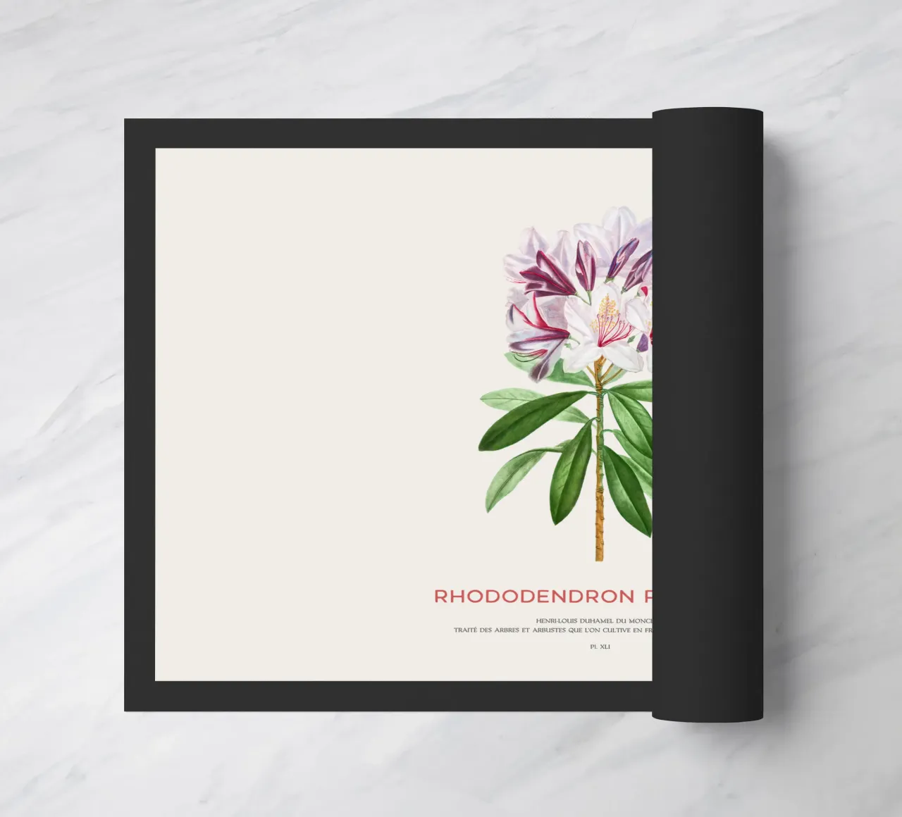 Pontic rhododendron or Rhododendron Ponticum doormat by Vintagrafica