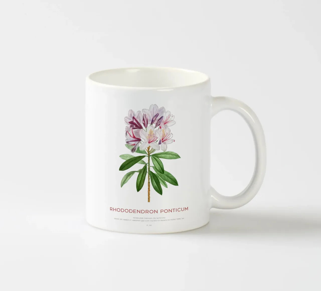 Pontischer Rhododendron oder Rhododendron Ponticum Keramik Tasse von Vintagrafica