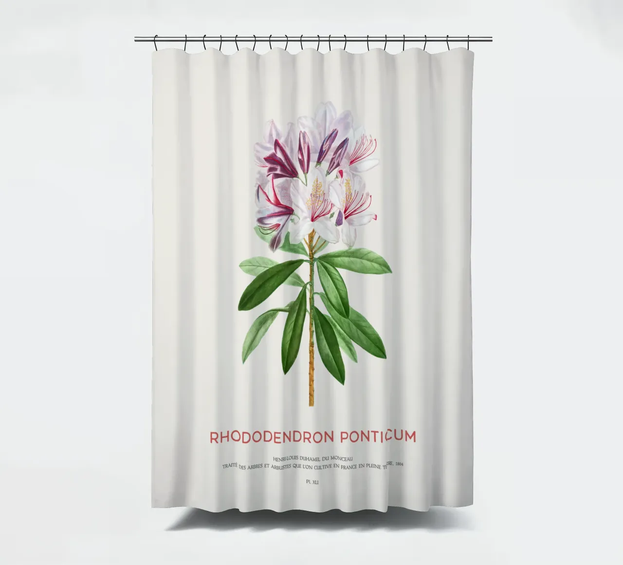 Pontischer Rhododendron oder Rhododendron Ponticum Duschvorhang von Vintagrafica