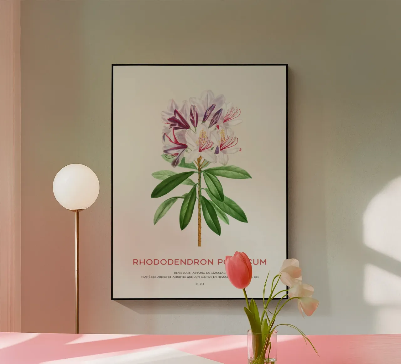 Pontischer Rhododendron oder Rhododendron Ponticum Acryl-Glas von Vintagrafica
