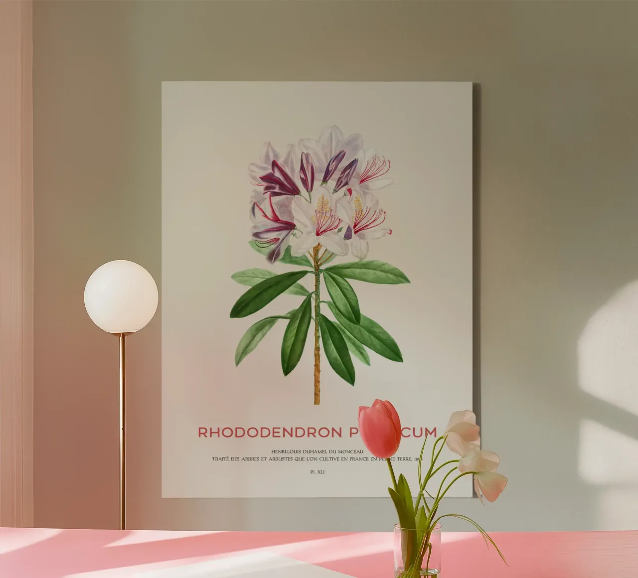 Pontischer Rhododendron oder Rhododendron Ponticum Leinwand von Vintagrafica