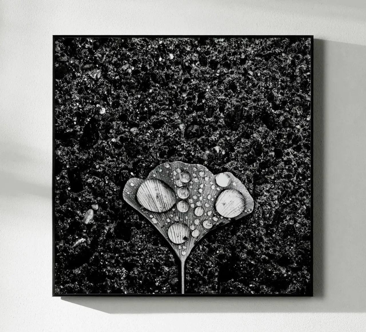 Dew - Jian Wang plexiglass da Pictufy