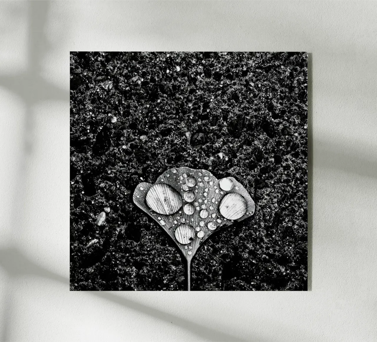 Dew - Jian Wang plexiglass da Pictufy