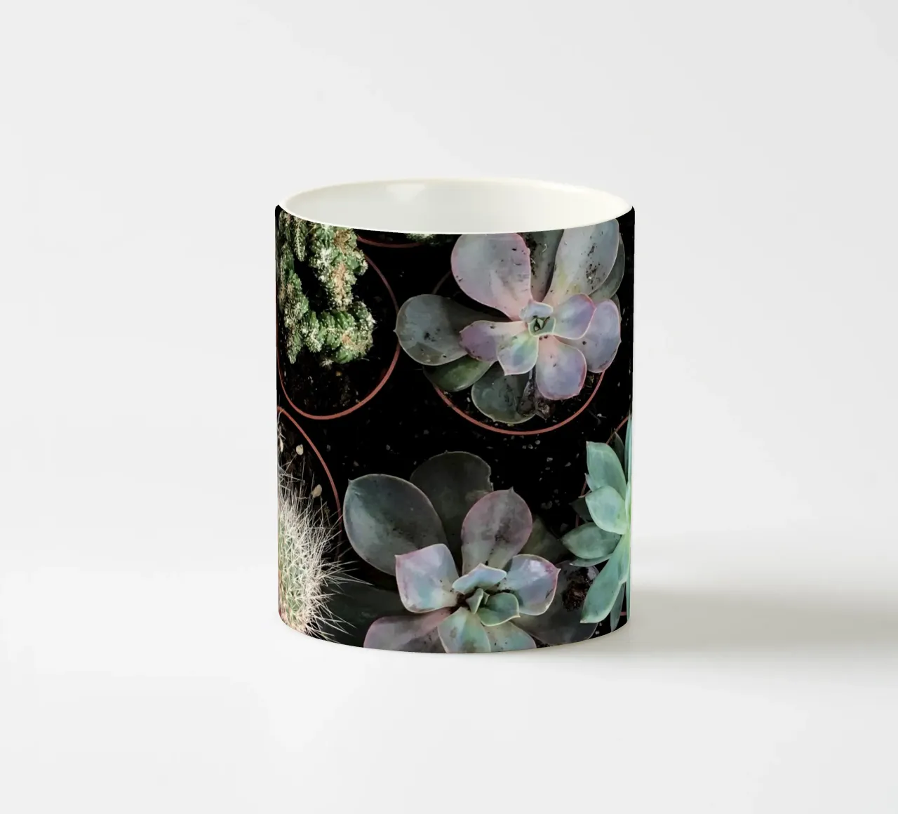 Collezione di piante tazza in ceramica da Cassia Beck Photography
