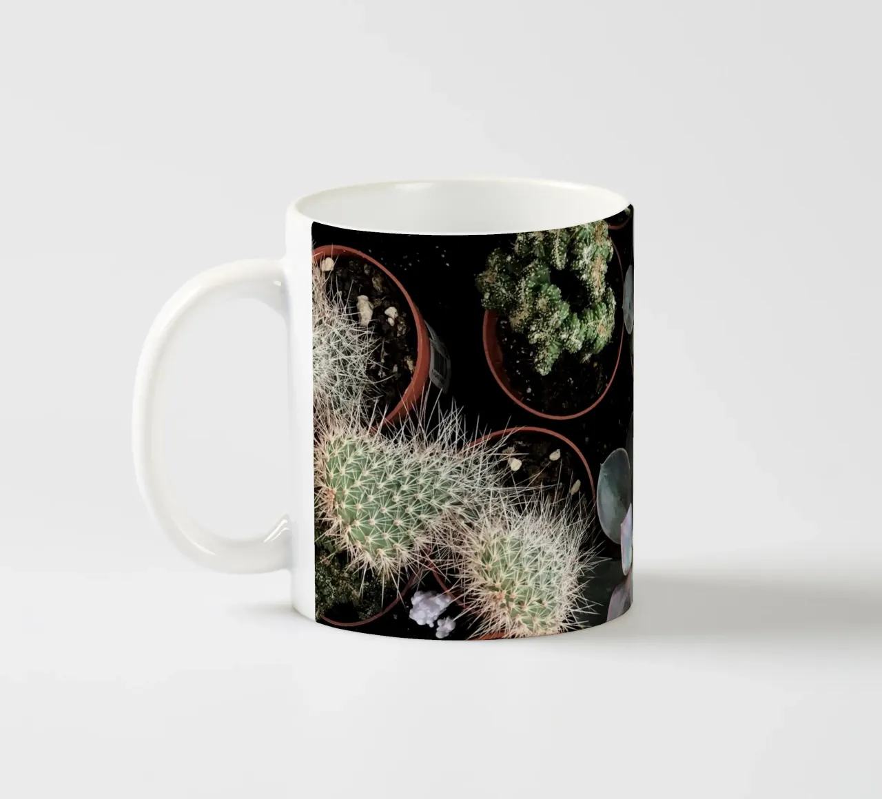 Collezione di piante tazza in ceramica da Cassia Beck Photography
