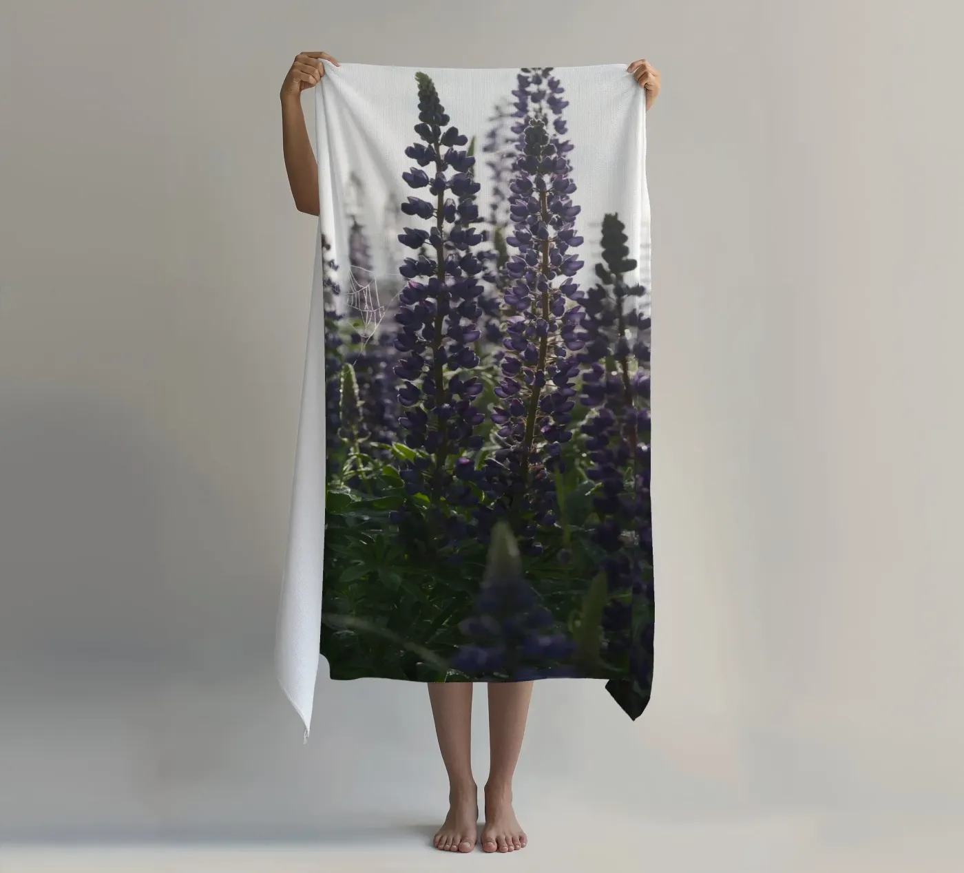Lupines telo mare da Carol Maia