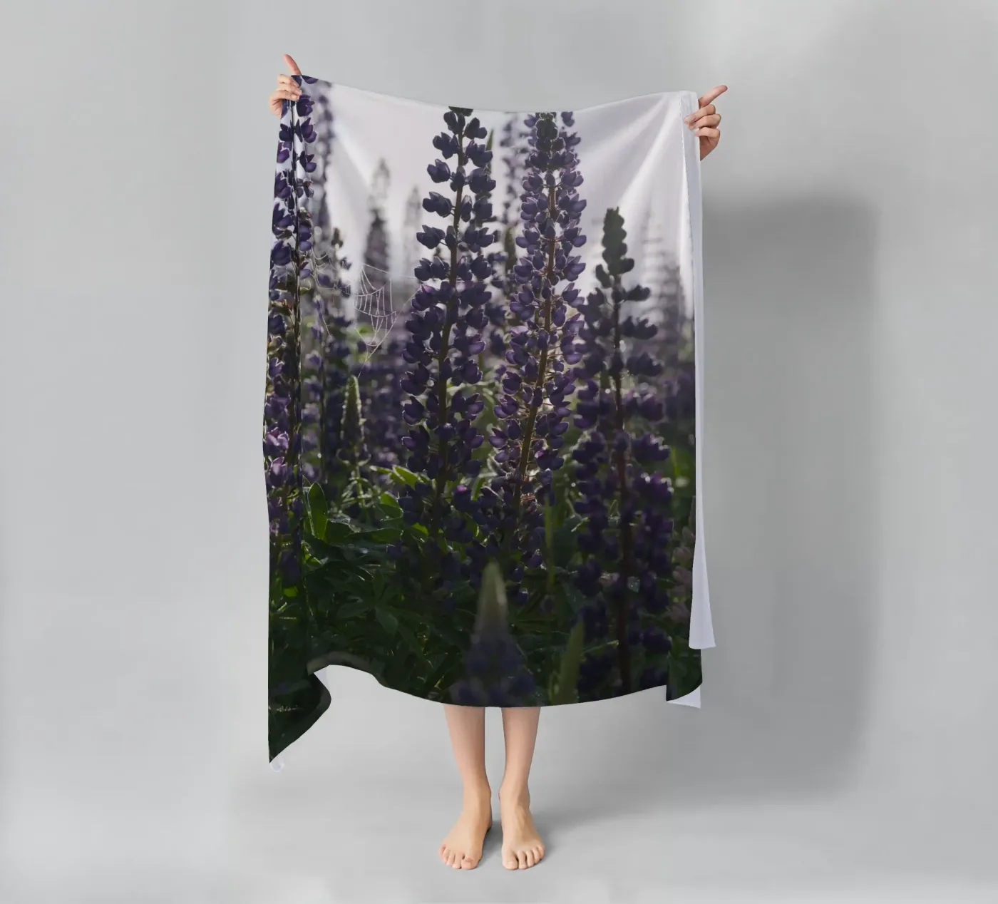 Lupines telo mare da Carol Maia