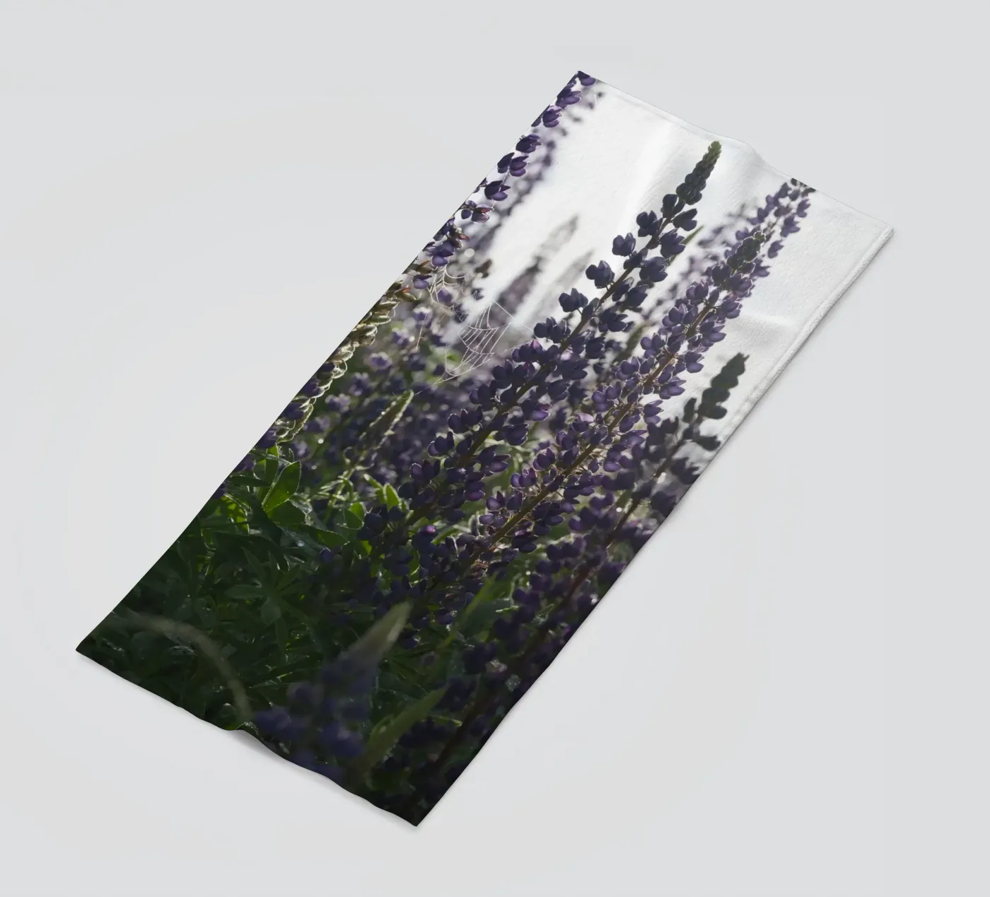 Lupines telo mare da Carol Maia