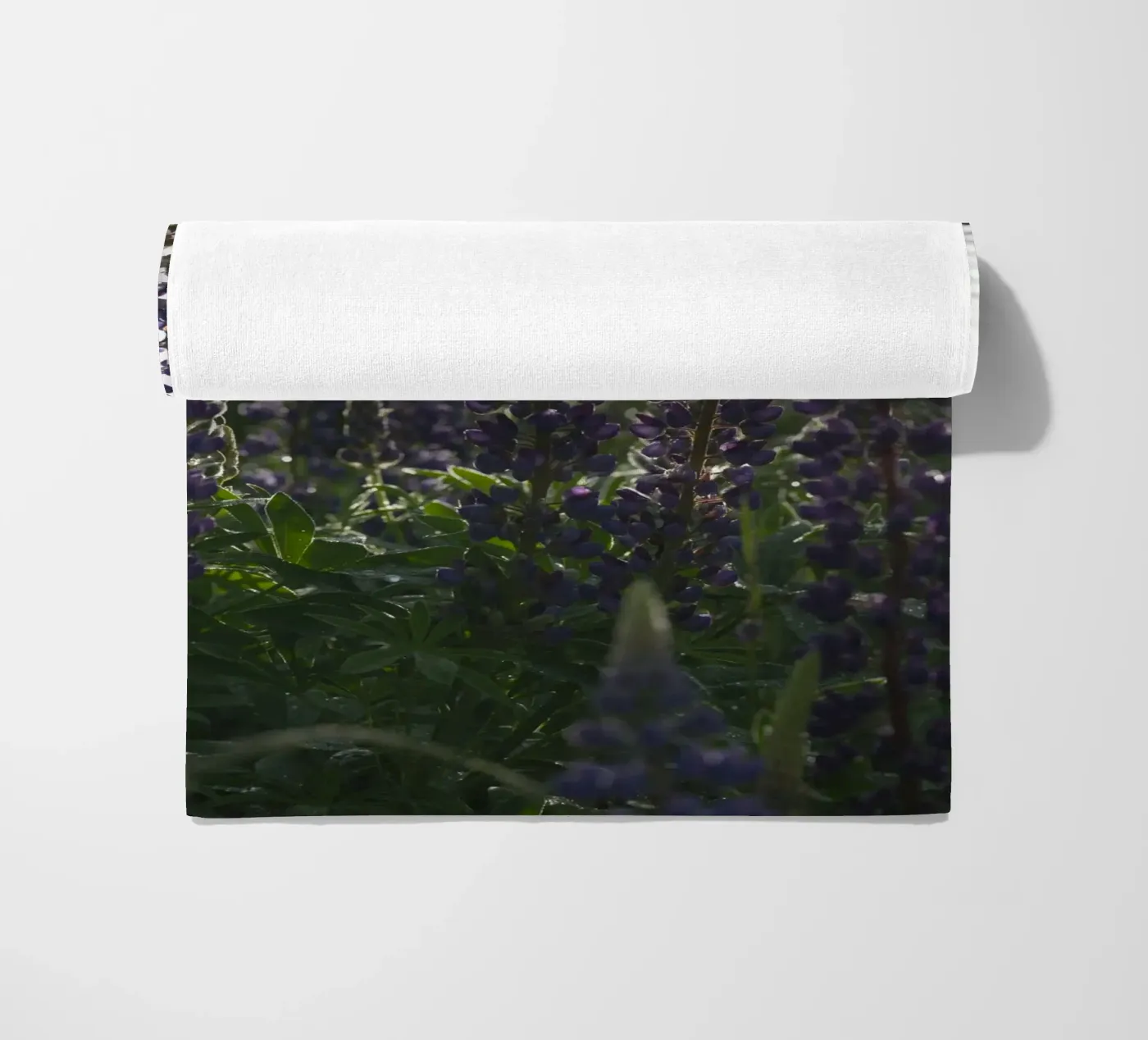 Lupines telo mare da Carol Maia