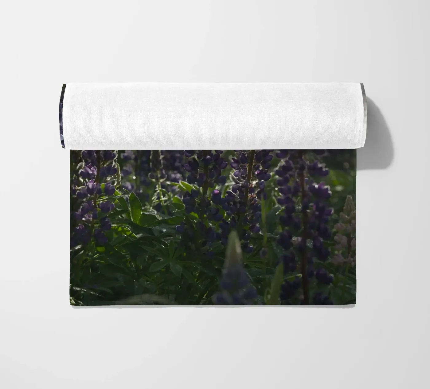 Lupines telo mare da Carol Maia