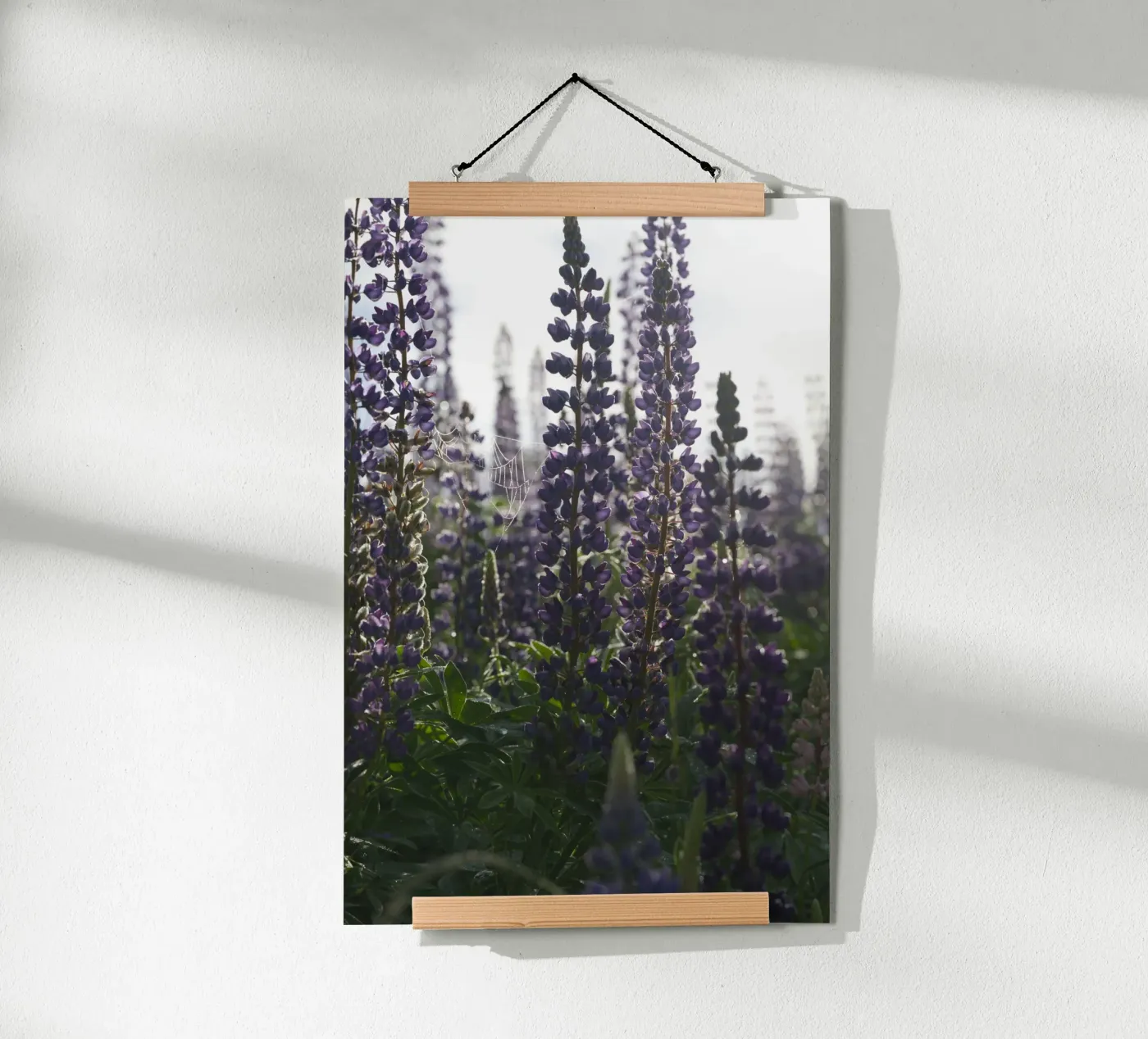 Lupines poster da Carol Maia