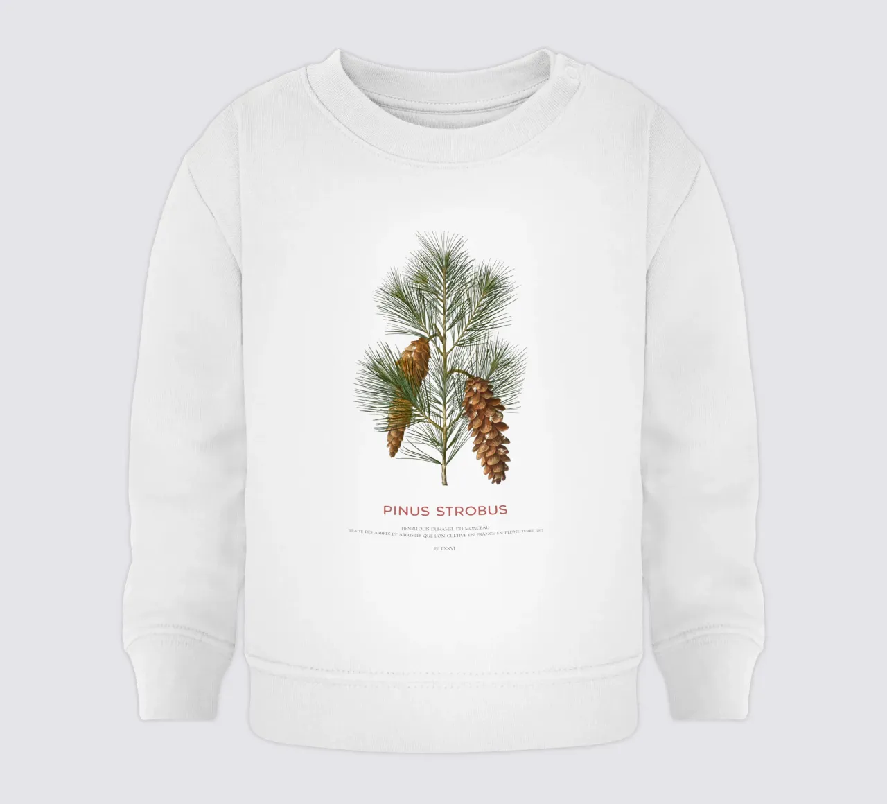 Pino bianco o Pinus Strobus felpa neonato da Vintagrafica