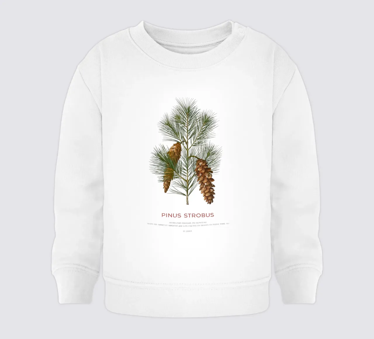 Pino bianco o Pinus Strobus felpa neonato da Vintagrafica