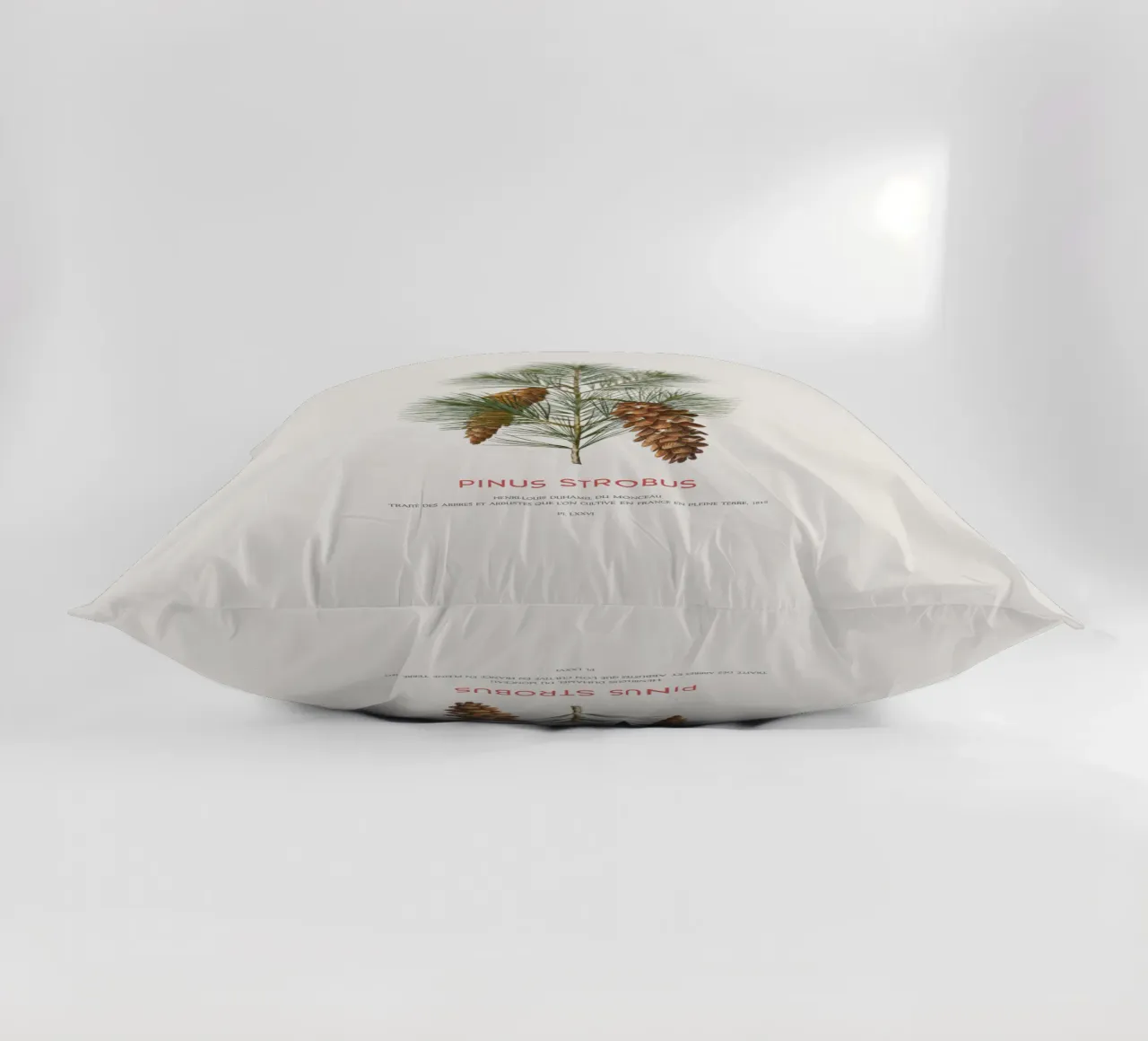 Pino bianco o Pinus Strobus cuscino da Vintagrafica