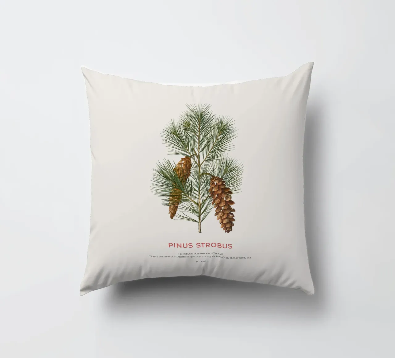 Pino bianco o Pinus Strobus cuscino da Vintagrafica