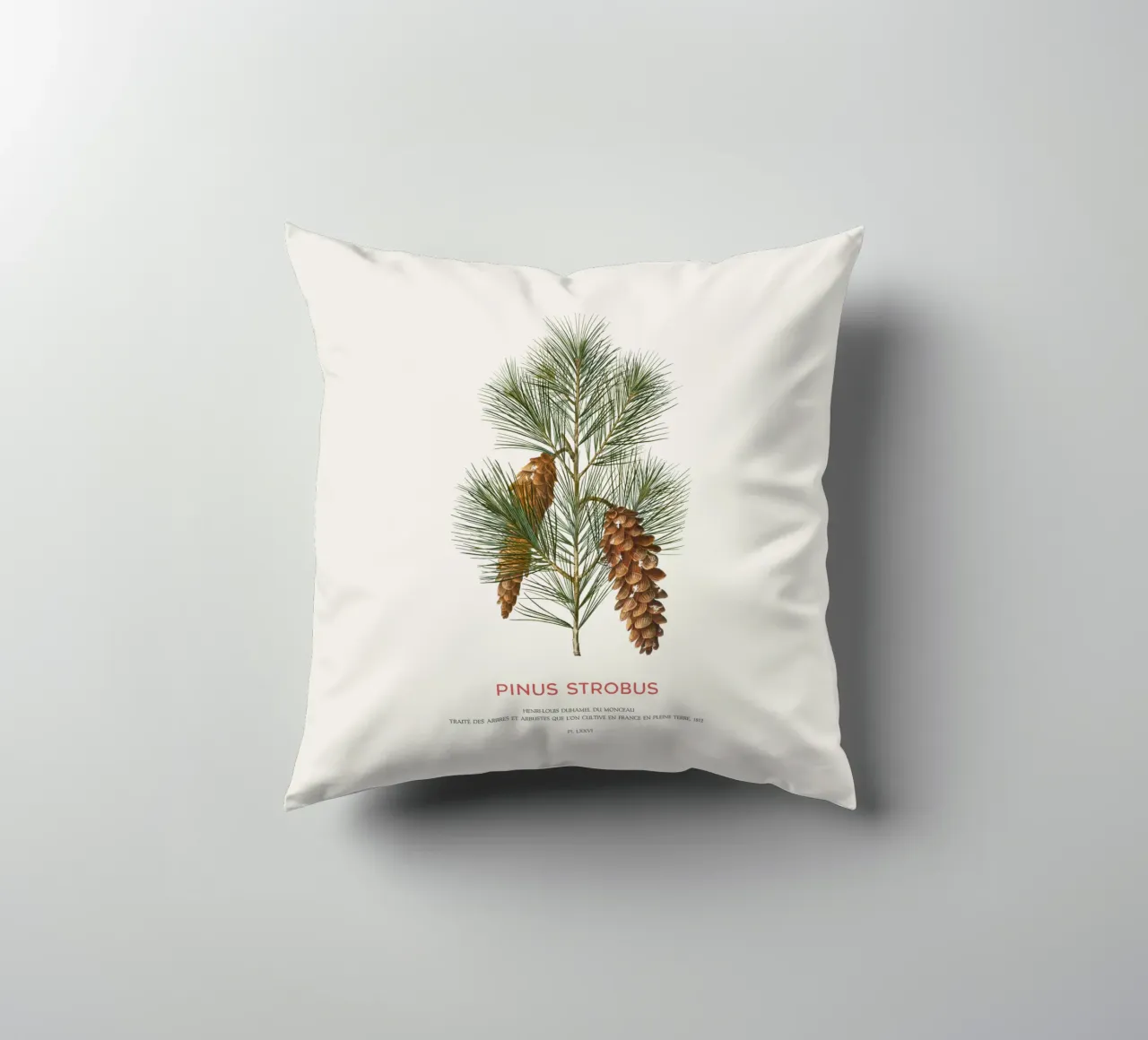 Pino bianco o Pinus Strobus cuscino da Vintagrafica