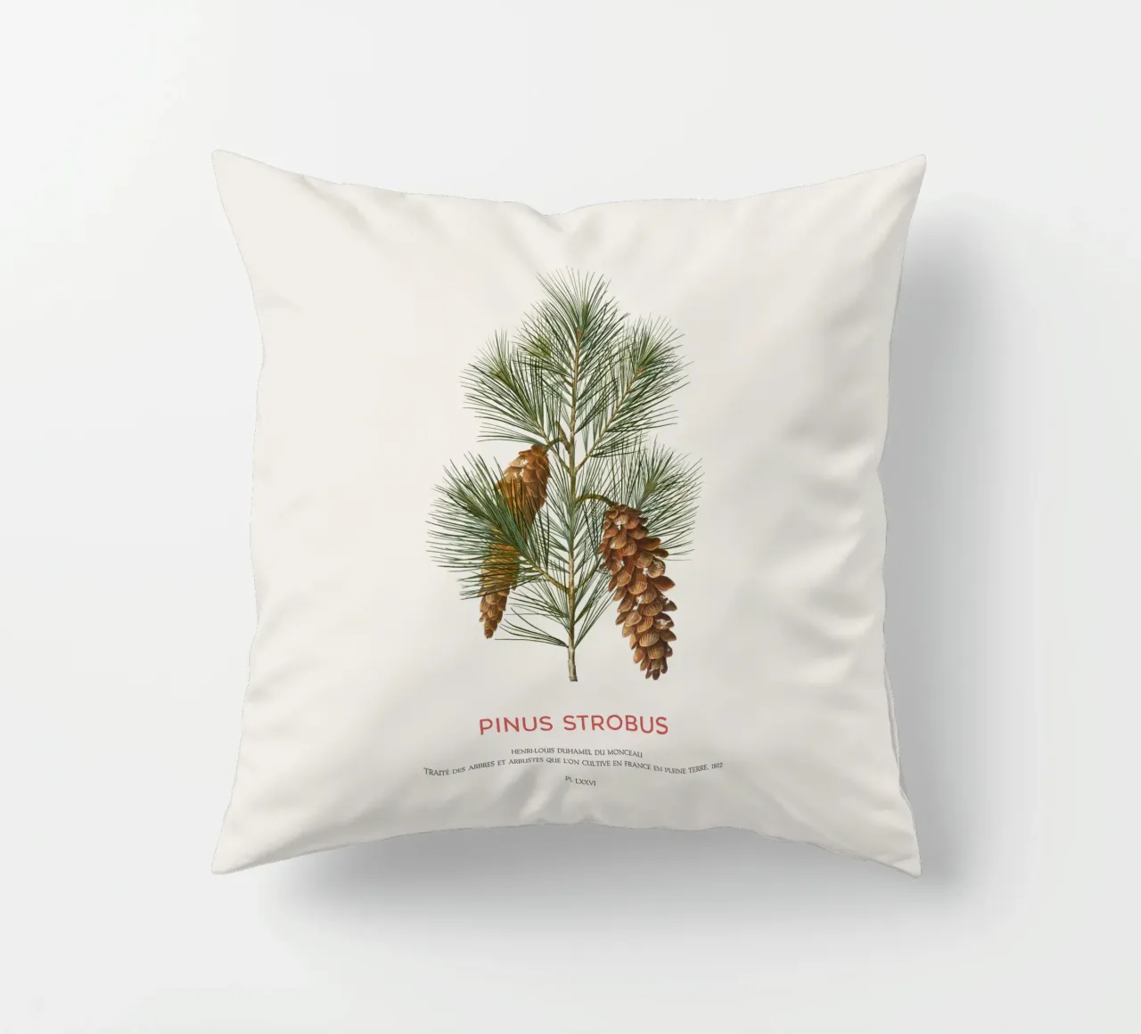 Pino bianco o Pinus Strobus cuscino da Vintagrafica