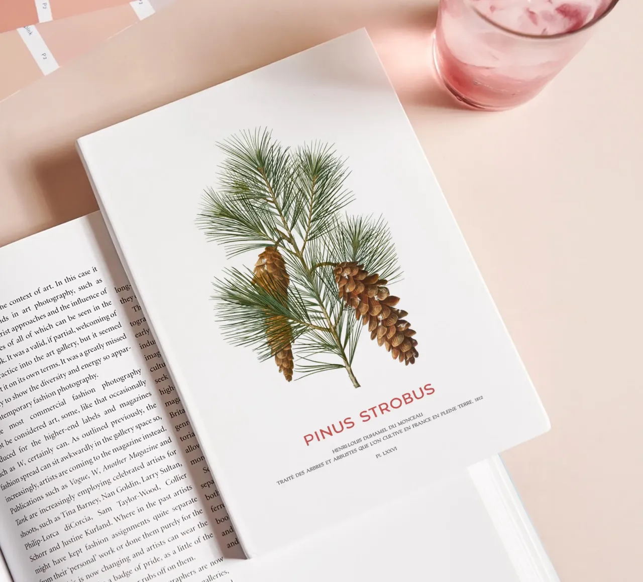 White pine or Pinus Strobus notebook by Vintagrafica