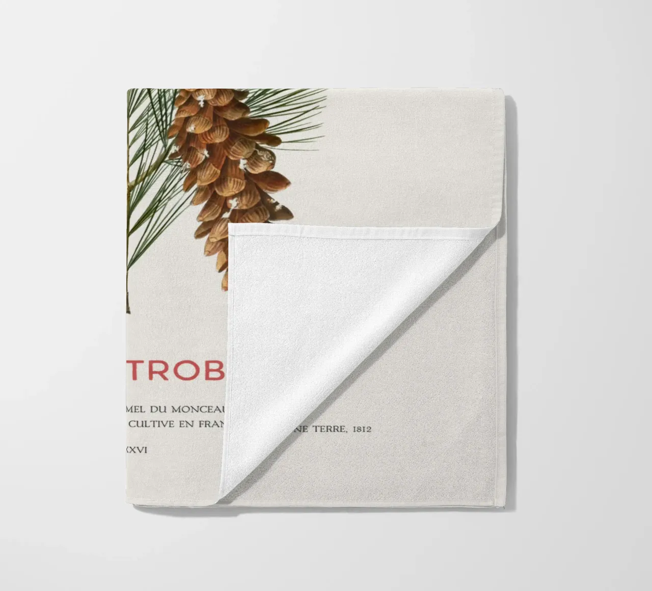 Pino bianco o Pinus Strobus telo mare da Vintagrafica
