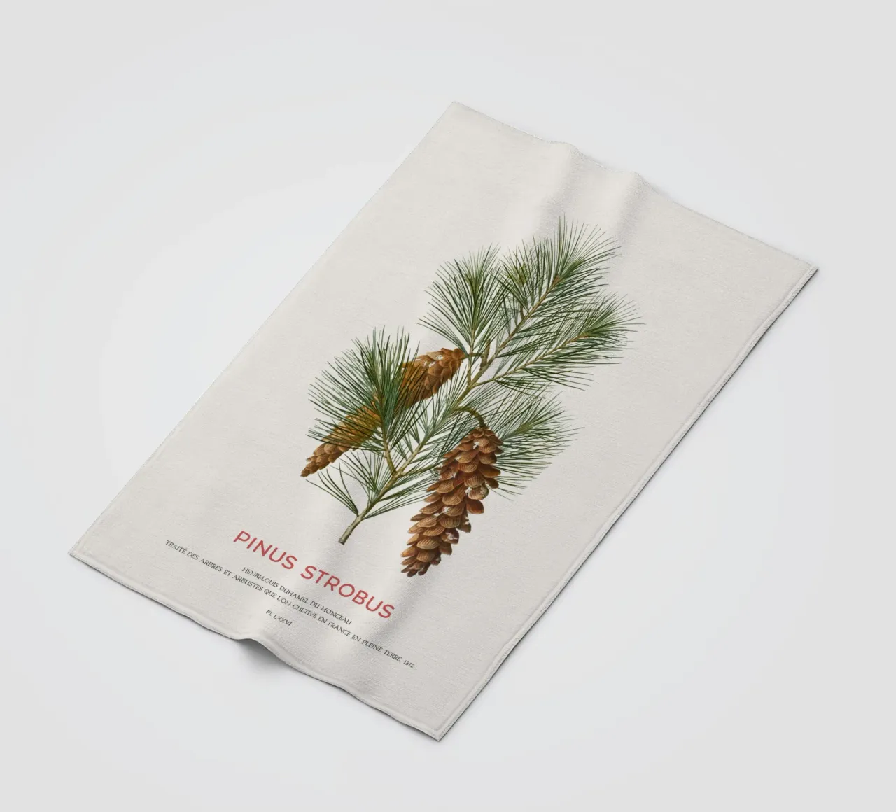 Weißkiefer oder Pinus Strobus Fleecedecke von Vintagrafica