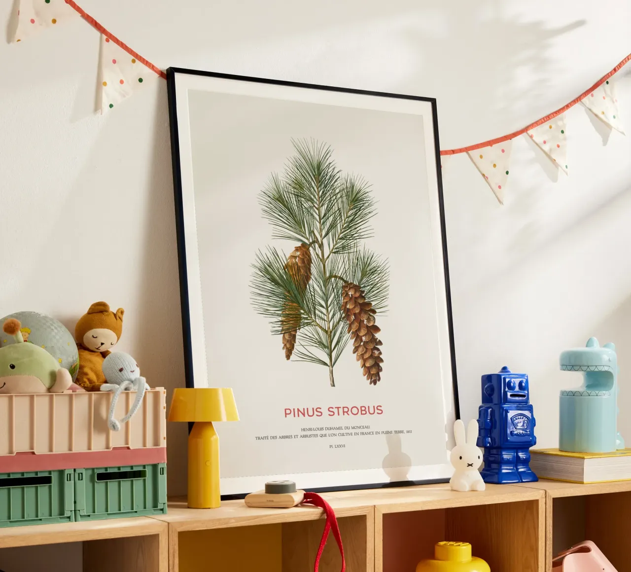 Weißkiefer oder Pinus Strobus Hahnemühle von Vintagrafica