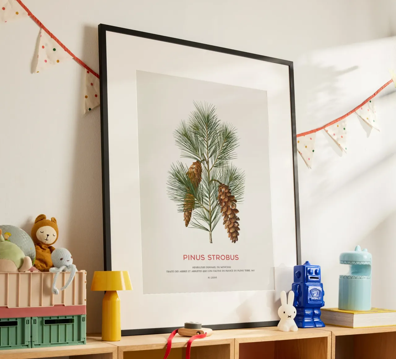Weißkiefer oder Pinus Strobus Hahnemühle von Vintagrafica