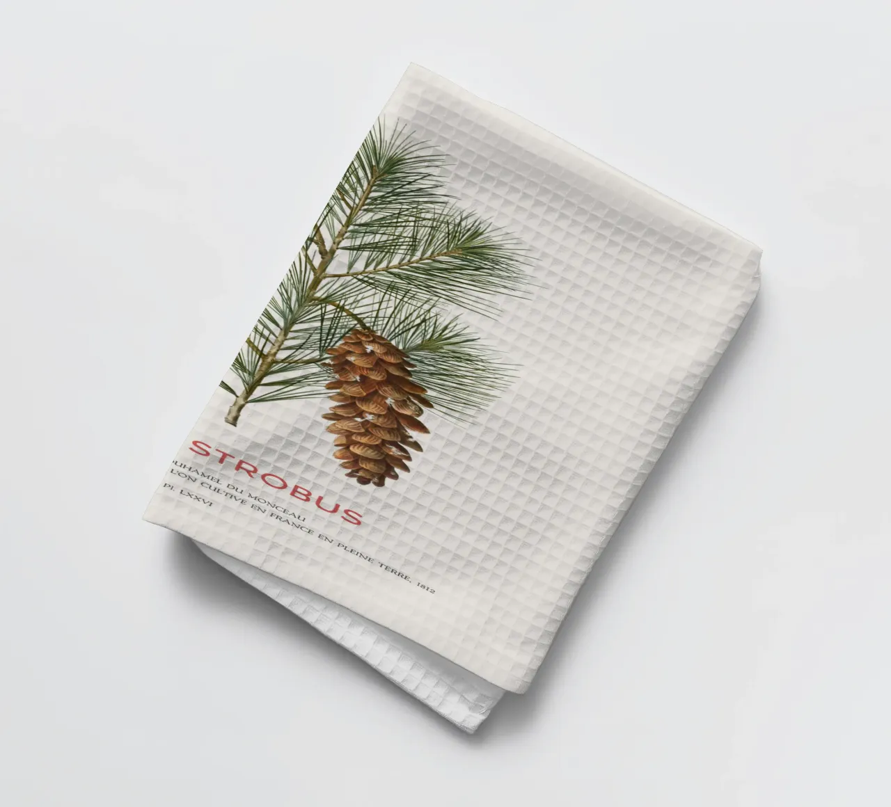 Weißkiefer oder Pinus Strobus Geschirrtuch von Vintagrafica