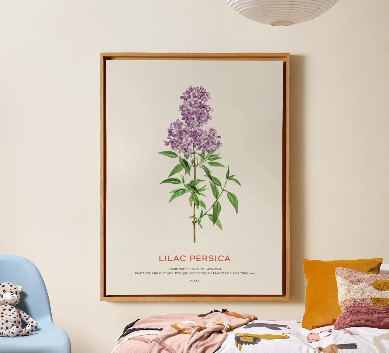 Perzische sering of sering Persica canvas met Baklijst van Vintagrafica