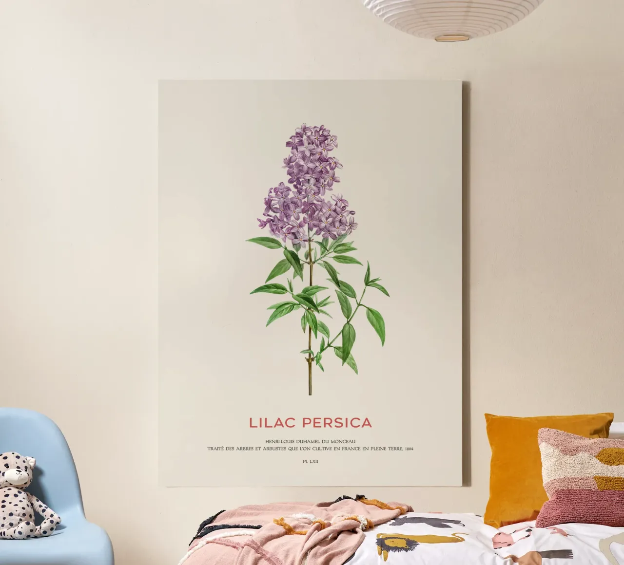 Perzische sering of sering Persica canvas met Baklijst van Vintagrafica